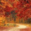 leigh_rauhuff